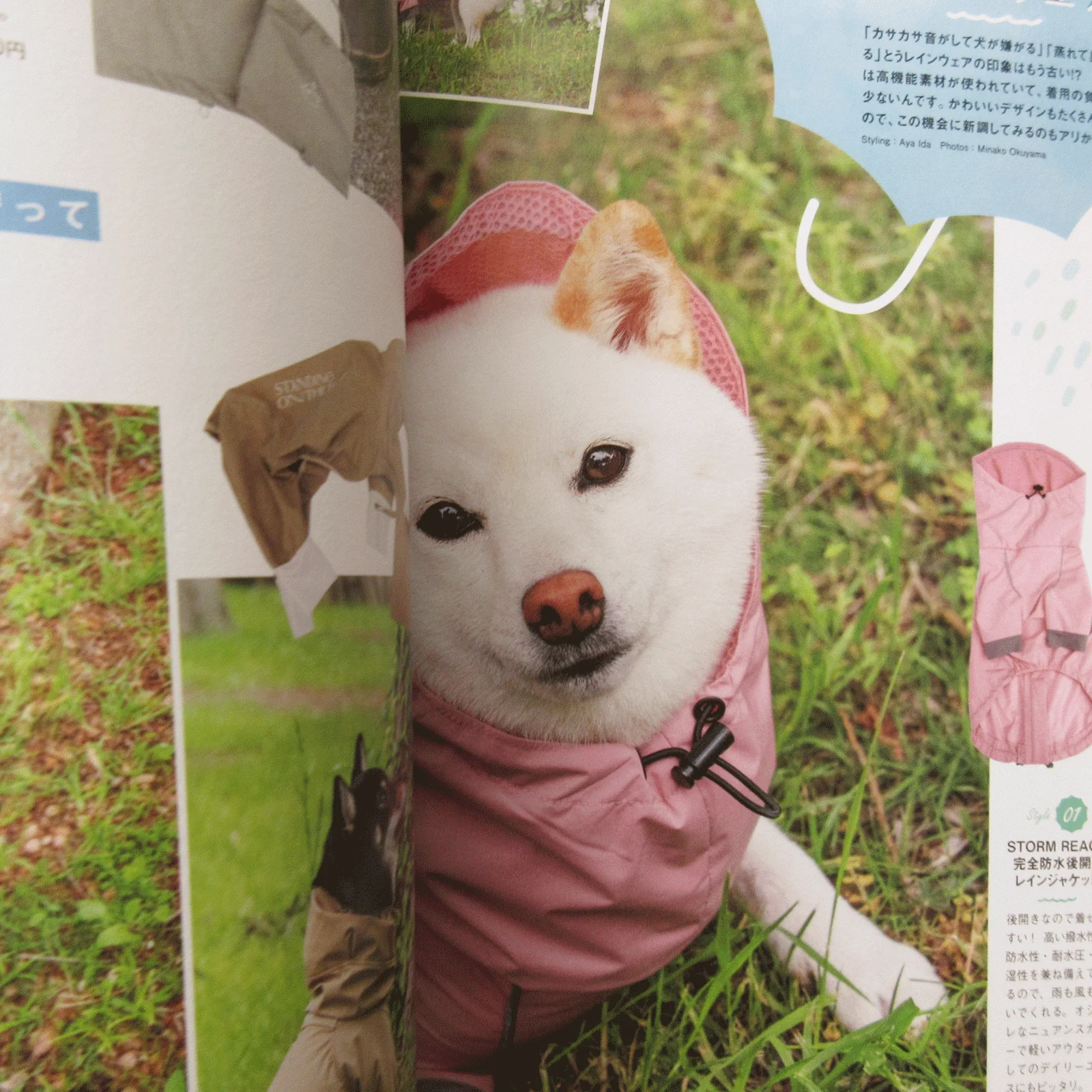 Product image 4